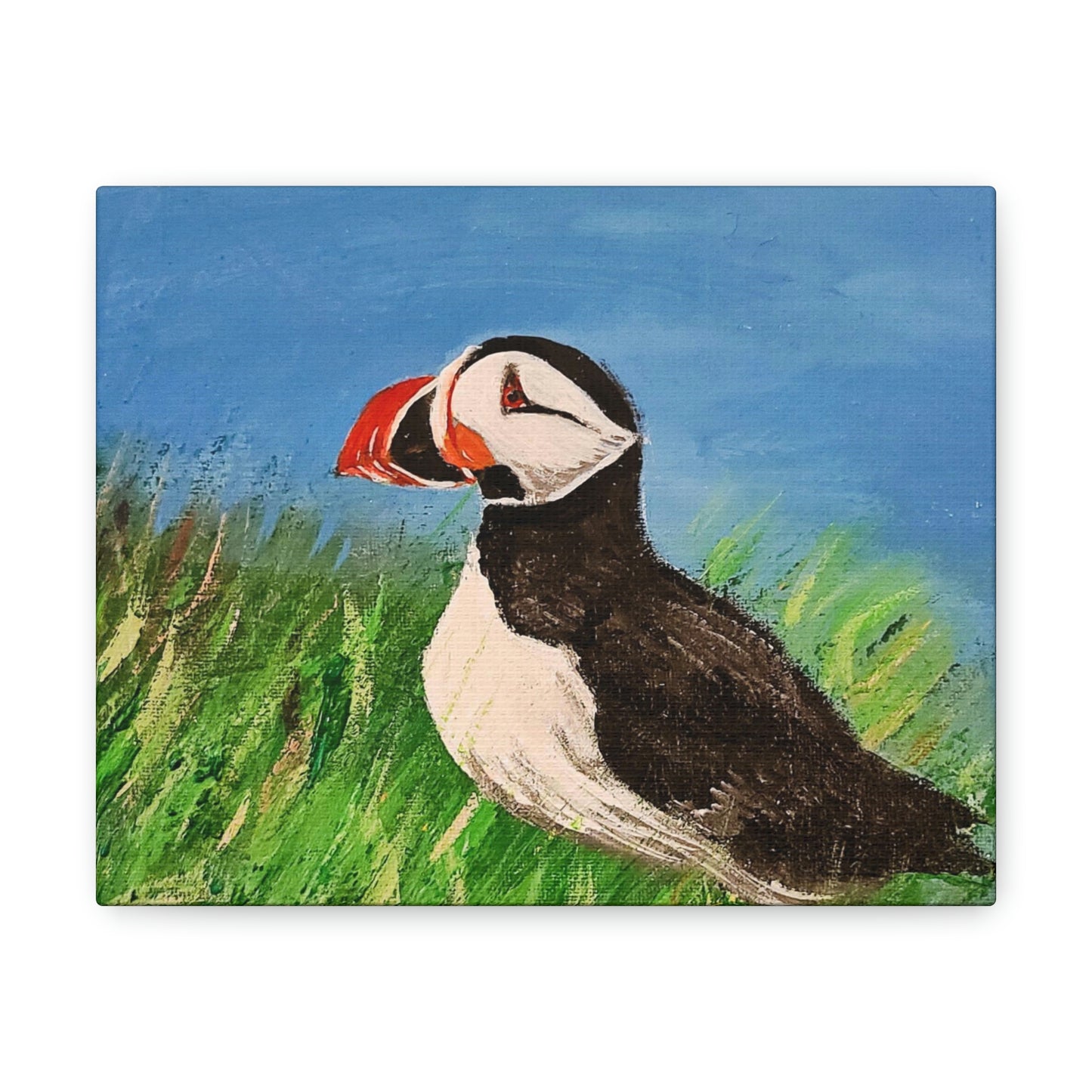 Puffin - Canvas Gallery Wraps