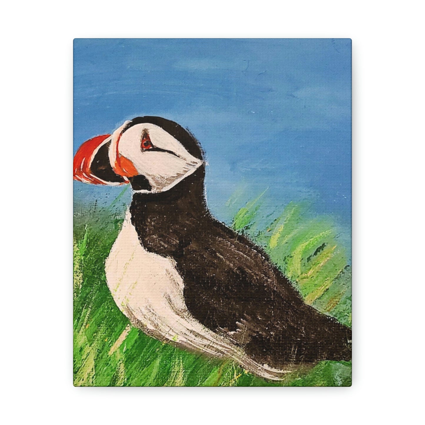 Puffin - Canvas Gallery Wraps