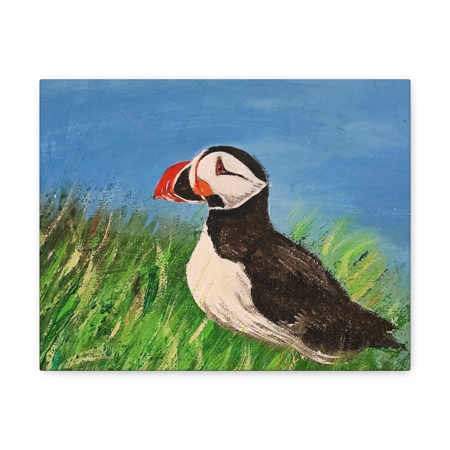 Puffin - Canvas Gallery Wraps