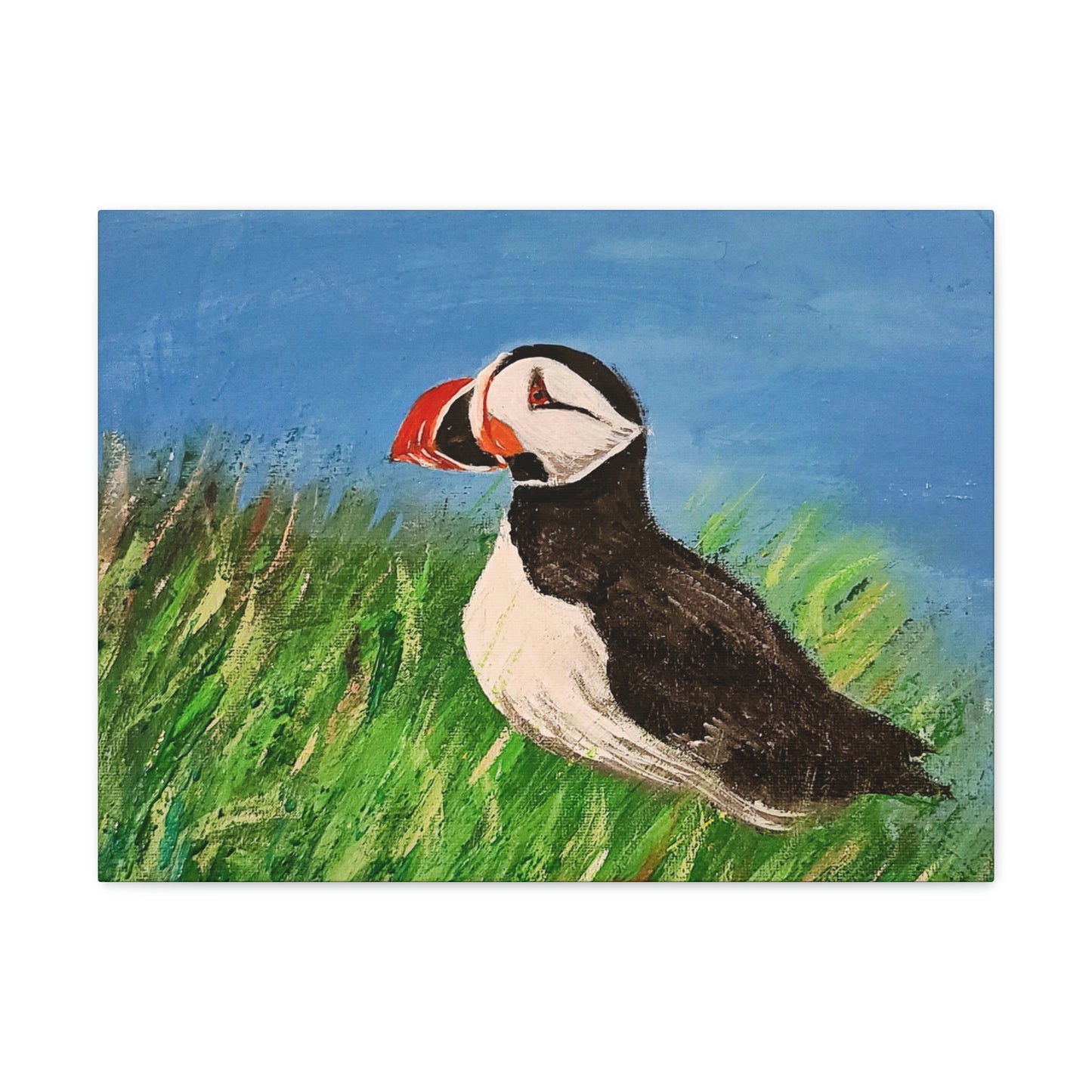 Puffin - Canvas Gallery Wraps