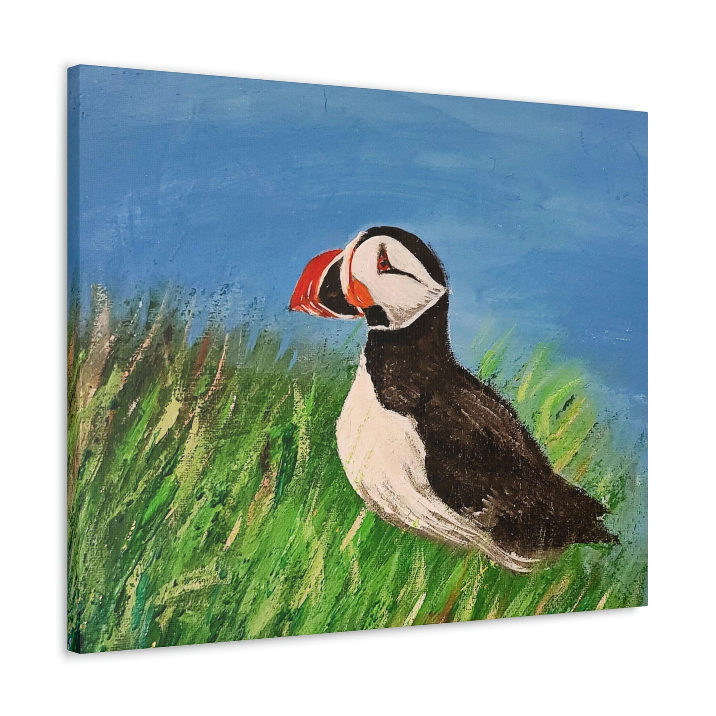 Puffin - Canvas Gallery Wraps