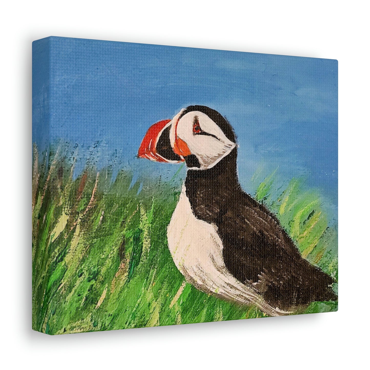 Puffin - Canvas Gallery Wraps