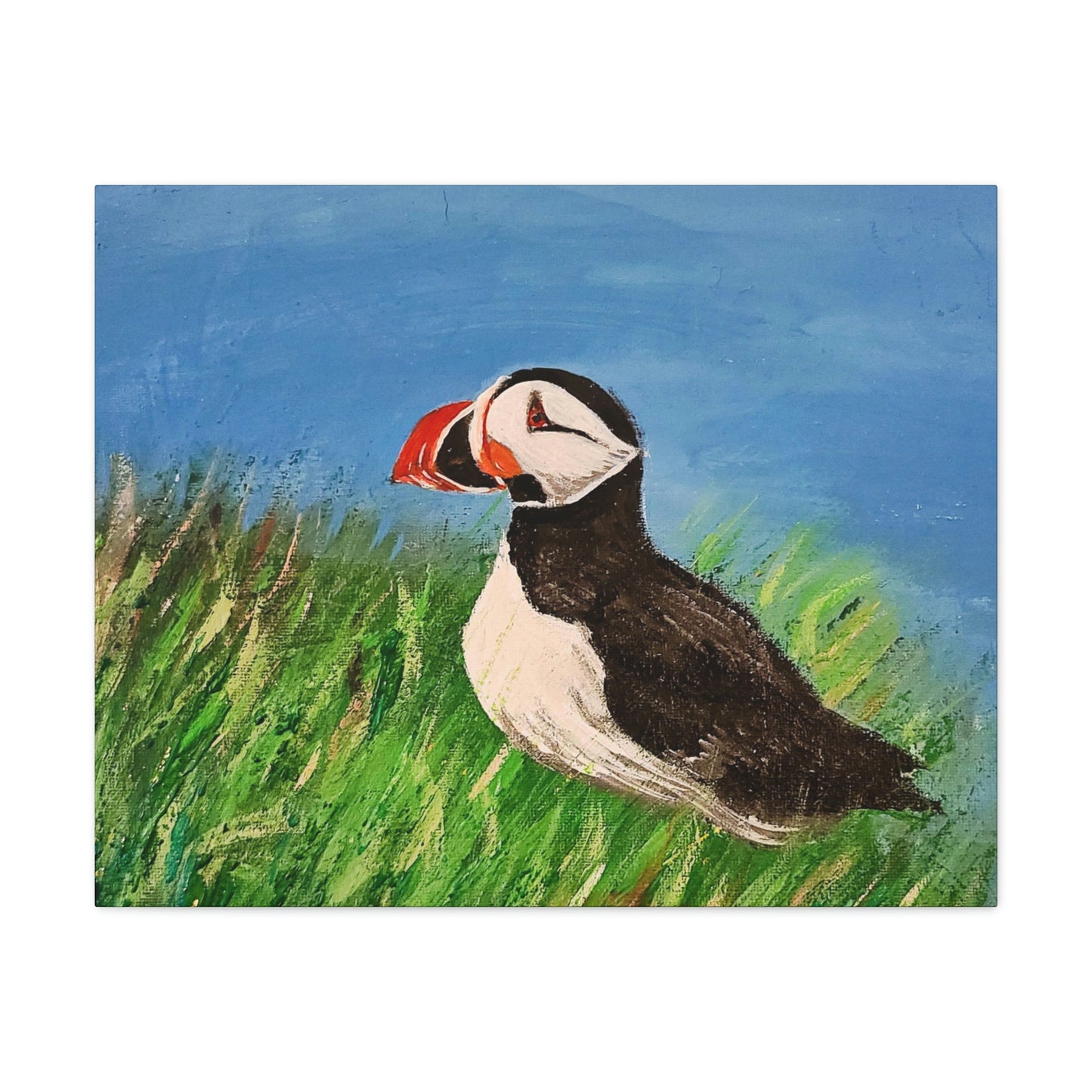 Puffin - Canvas Gallery Wraps